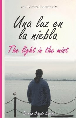 bokomslag luz en la niebla