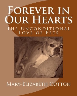 Forever in Our Hearts: The Unconditional Love of Pets 1