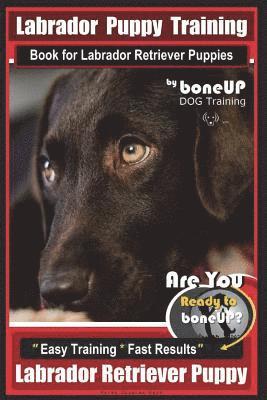 Labrador Puppy Training Book for Labrador Retriever Puppies by BoneUP DOG Training: Are You Ready to Bone Up? Easy Training * Fast Results Labrador Re 1