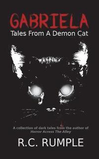 bokomslag Gabriela: Tales From A Demon Cat