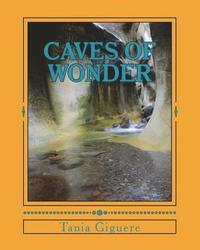 bokomslag Caves Of Wonder