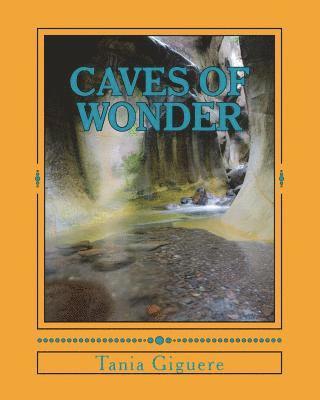 bokomslag Caves Of Wonder