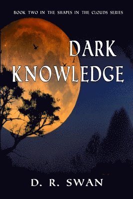 D R Swan - Dark Knowledge, Häftad. Tillgänglighet: Lägg i varukorg