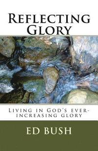 bokomslag Reflecting Glory: Living in God's ever increasing glory