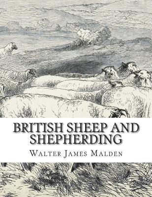 British Sheep and Shepherding 1