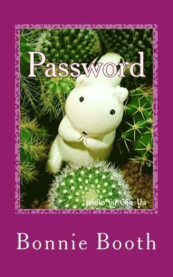 Password: I Can Remember 1