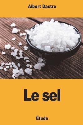 Le sel 1