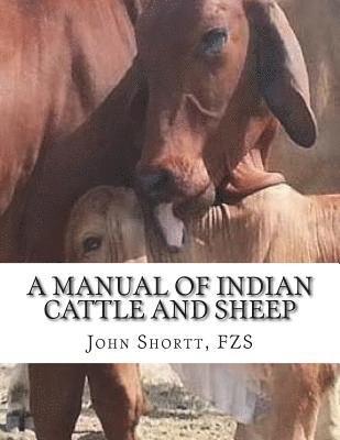 A Manual of Indian Cattle and Sheep: Their Breeds, Management and Diseases 1