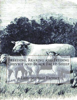 bokomslag Breeding, Rearing and Feeding Cheviot and Black Faced Sheep