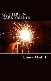 bokomslag Glitters In Dark Valleys
