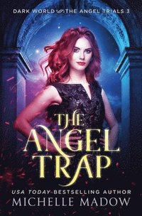 bokomslag Angel Trap