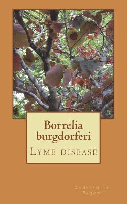 bokomslag Borrelia burgdorferi