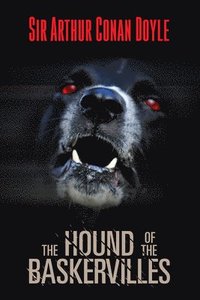 bokomslag Hound of The Baskervilles