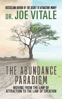 bokomslag The Abundance Paradigm
