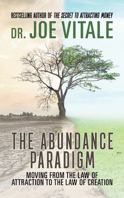 The Abundance Paradigm 1