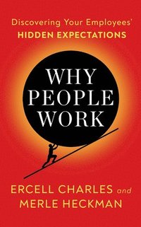 bokomslag Why People Work