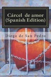 bokomslag Cárcel de amor (Spanish Edition)