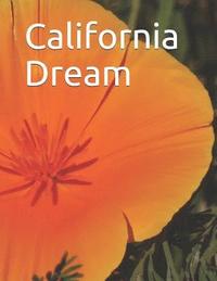 bokomslag California Dream: Gold Rush to Computers: An extra-large print memory care senior reader book / travel magazine