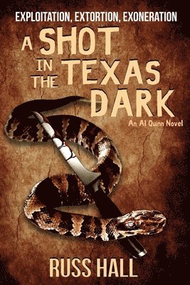 bokomslag Shot in the Texas Dark