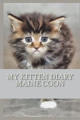 My kitten diary: Maine coon 1
