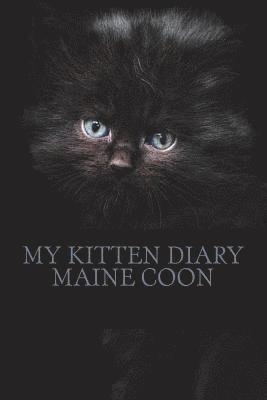 My kitten diary: maine coon 1