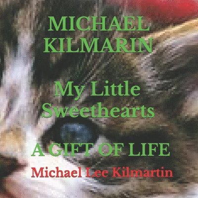Michael Lee Kilmartin - My Little Sweethearts Adventures, Häftad