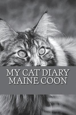 My cat diary: Maine Coon 1