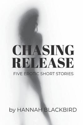 bokomslag Chasing Release: A Collection of Short Erotic Stories