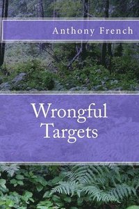 bokomslag Wrongful Targets