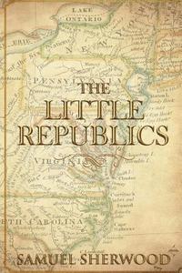 bokomslag The Little Republics: A Guide to a Constitutional Form of Government at the Local Level