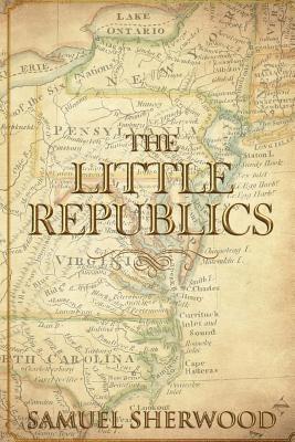 bokomslag The Little Republics: A Guide to a Constitutional Form of Government at the Local Level