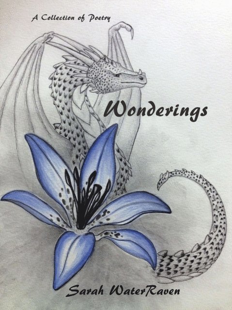 Wonderings 1