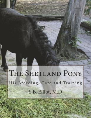 bokomslag The Shetland Pony: His Breeding, Care and Training