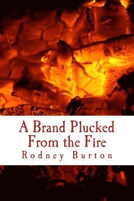 A Brand Plucked From the Fire 1