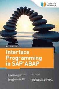 bokomslag Interface Programming in SAP ABAP