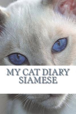 My cat diary: Siamese 1