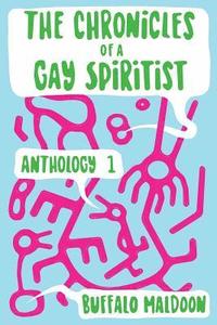 bokomslag The Chronicles of a Gay Spiritist