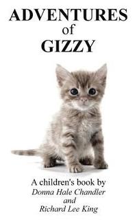 bokomslag Adventures of Gizzy