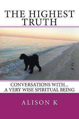 bokomslag The Highest Truth: Conversations With... a Very Wise Spiritual Being