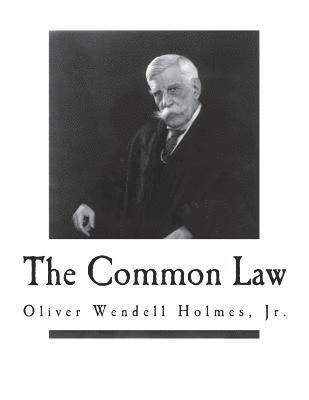 bokomslag The Common Law