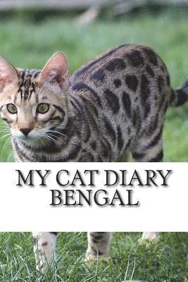 My cat diary: Bengal 1