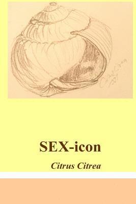 bokomslag SEX-icon: erotisch göttliche Freude & piacere erotico divino