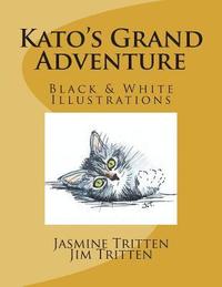 bokomslag Kato's Grand Adventure (B&W Illustrations)