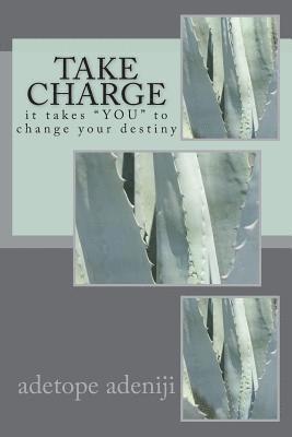 bokomslag take charge: it takes 'YOU' to change your destiny