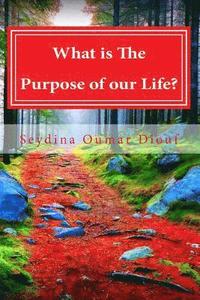 bokomslag What is The Purpose of Life?: Mind, Soul and Body