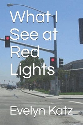 What I See at Red Lights 1