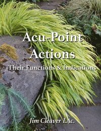 bokomslag Acu-Point Actions