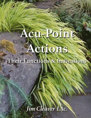 Acu-Point Actions 1