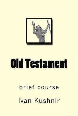 bokomslag Old Testament: brief course
