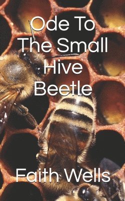 Ode To The Small Hive Beetle 1